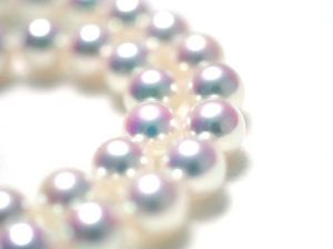 16956b026a05cb46e9b845675fd97ba6