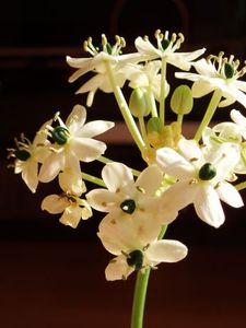 42bfc8042b7e101743d39668fff16708