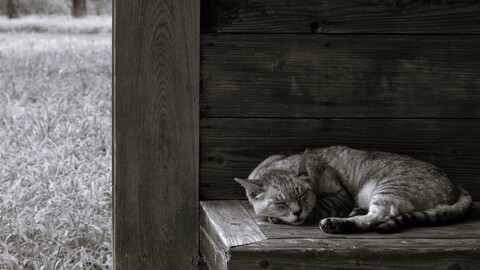 1aa8ada51560e21f8324ed95dd5a8ece