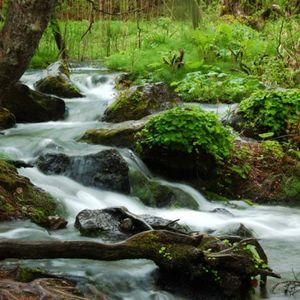 Cd970776dca4321f5f55f80d8b745b45