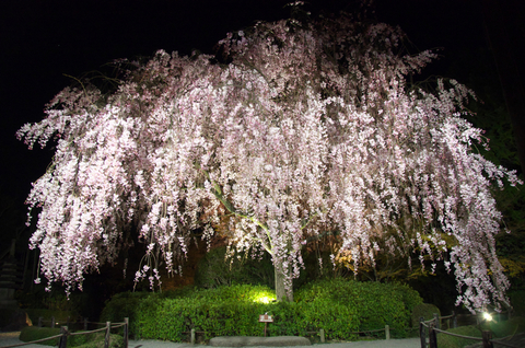 Ff9bb213325208c26e0d8456ad5ee579