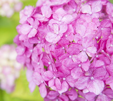 Cab9a4a336cdda708dc5bbeabf8f2bff