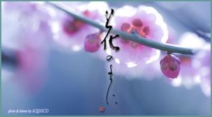 C46f89c90144abd6e93beda2575dac5d