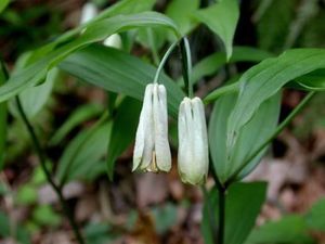 2b729491b8020964b9f5eb088b1d1eda