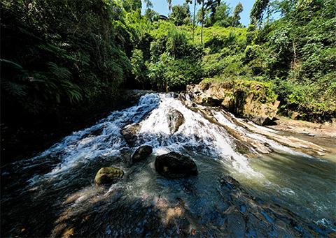 B074596b7981490e98d184074da8109d