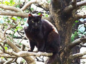 8caf5860c8e597e6e5da7b55b59579fc