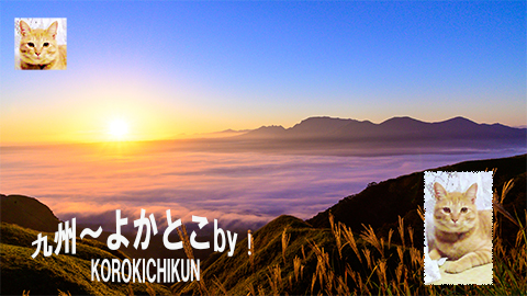 91bbfcb3a0ff332e480dc006df1445ec