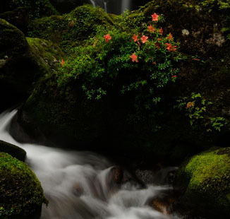 A132b708bf39c2897968521f3e80e083