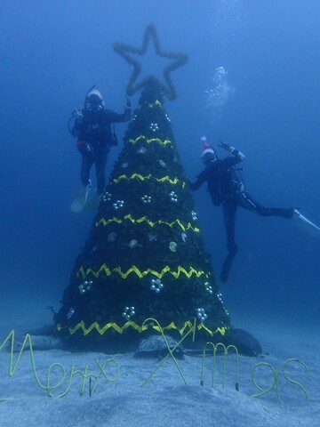 2f9c41c1ded421b0f125b669bd889233