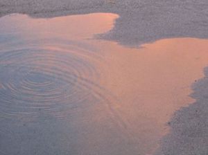 956da92937de1877cbcd71cb4df7e396