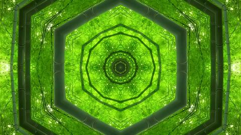 8d26416824dbc9ac265f0b13b214a90f