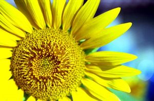 F12e091aecf6f00e0a6e4ffccaca8ebf