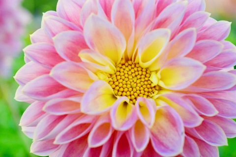 F610accf5f05ff37bd81390d79ad4e66