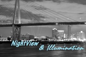 D80ab44bed700c33cdd8d748630090fa