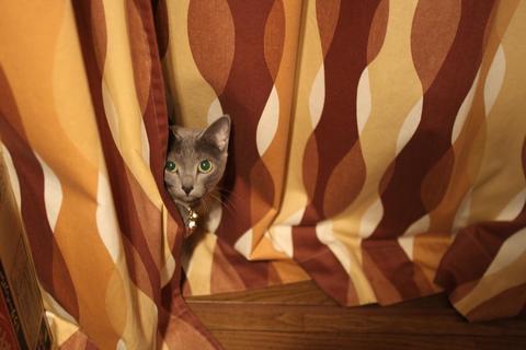 59eb4b283d8f7c1527dcd81fdf8d26c7