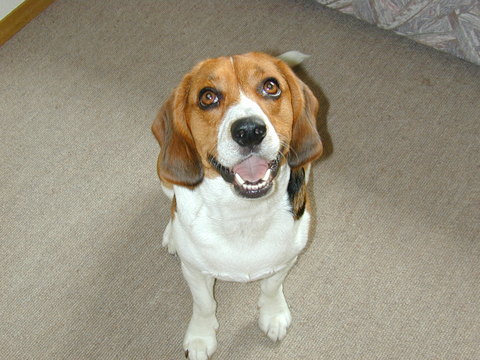 987e7a4b1341e098e9091bdbab69929c