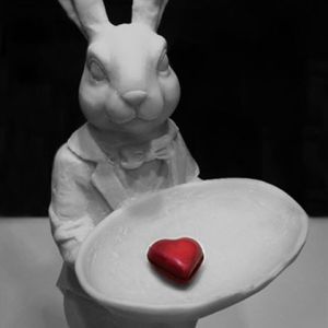 1161ccd203d746be50106877ae29d7bc