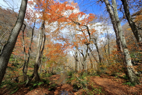 C1eabc9184d091a83ce94dfc3aa01eef