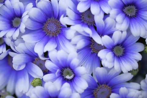 51dee323fed4e1aa0b2206194d4b496b