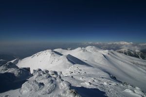 D7ce4b0b8e84e9facd2a63e69f3db541