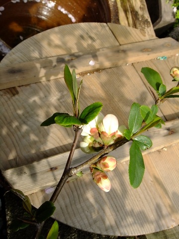 F48b782429ee11f553af9203913ce626