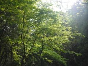 D742aeb6119bfd173d3ec52c5411f616