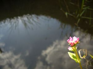 8a63d7b8406abe1eaee177254f021f61