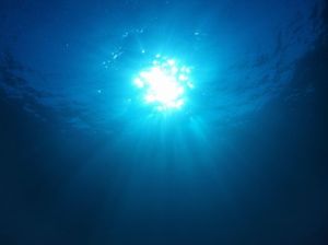 4fa6b4d8dd6c6b5cbc933e222a205fd8