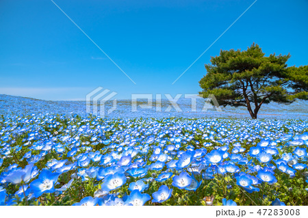 2d096f40c4d673d940976c975acaa536