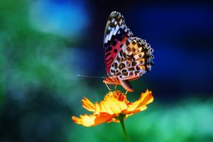 C47517b10aac15ac6a6c1c42754a47d0