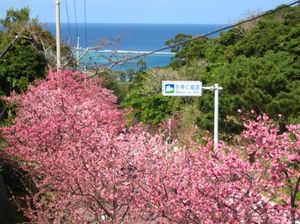 6ff342be981e0e4498b2f7e2386c14fa