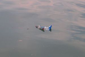 Afd04ae8b83a67e06090fb319d6c8de4