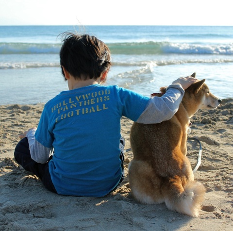 C37052bc1f8bb3347bfb7c0e44a9bfea