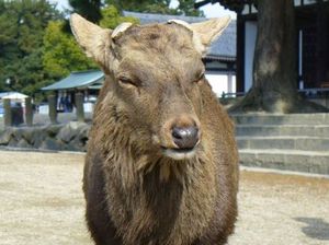 C7f2be1f8ce26f173fe618279101340f