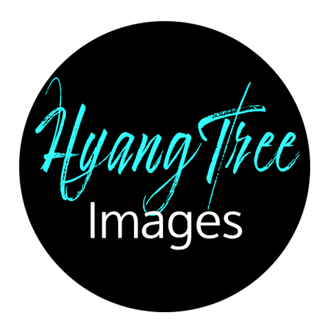 85e20e7980020f92c94db3177d4c2e13