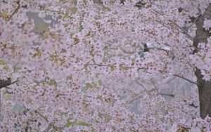 6bdf72c95f93878023977b93ca20cd2a