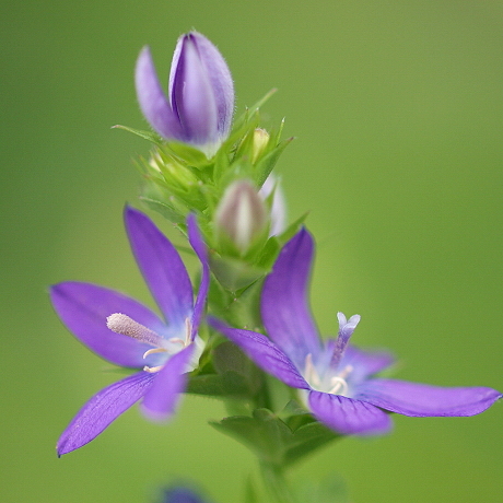 54ce345dcee9206fcb8774d56420489f