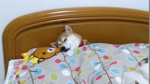 0f4ea89b4f94e03085f4f8cc78bb653b