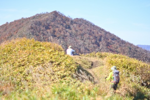 D6dc70acc5a14ae338a82b76868700bc