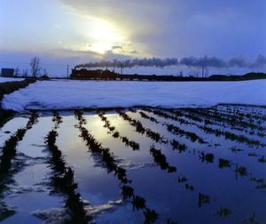 C05ef8ae870c0d2183ed8d2b1bfd8a8f