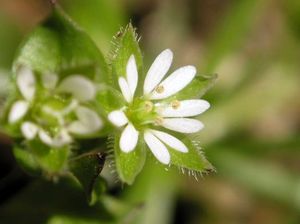 Ecace166b34aec1ec43e010cc058f9b5