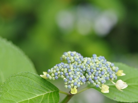 74e9ca8c81de27ec82e6e284bae5661f