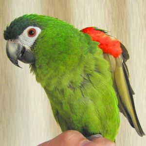 2d8e13aae02d0e8b3f84dd77b5c0c33e