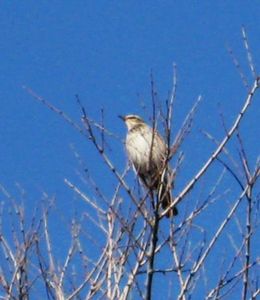 E0a5d6eb715600a56b6d427236f9d462