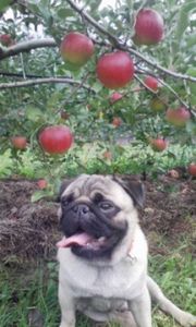 49909305e6b43e56ba129ae87be864bf