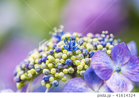 F7bbf5b90d66ab5464145ff90e1eb05b