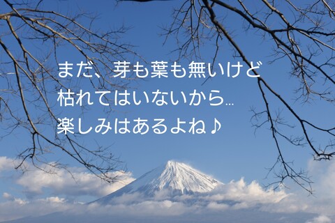 2c4abfc837e51030a742094e66aa9870
