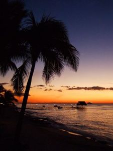 D8d62cc75b792af42c7c0efc06896a7e