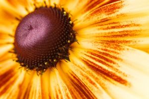 4c123856ae1d26beb2f31980b3b0237d