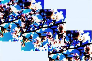 A5a232d12b71a939c5b0ad859cdb7c1f